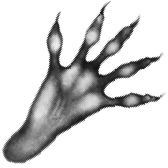 Месть пумы - i_032.jpg