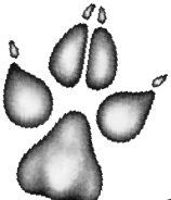 Месть пумы - i_033.jpg