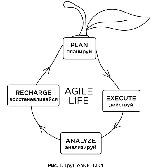 Agile life. Как вывести жизнь на новую орбиту, используя методы agile-планирования, нейрофизиологию и самокоучинг - i_002.png