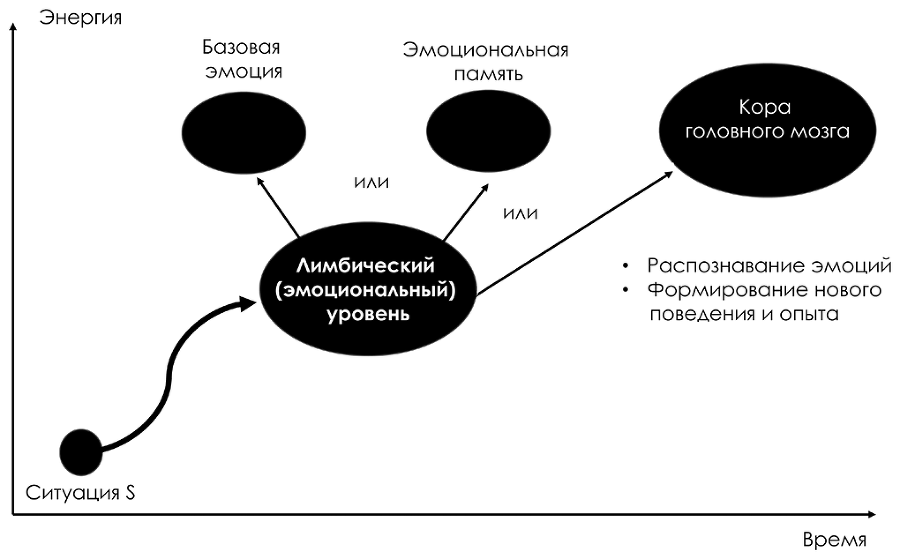 Почему я так реагирую? Причины и польза эмоций - i_003.png