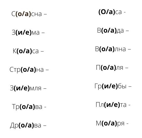 Аня, Ударение и другие жители волшебного леса - _0.jpg