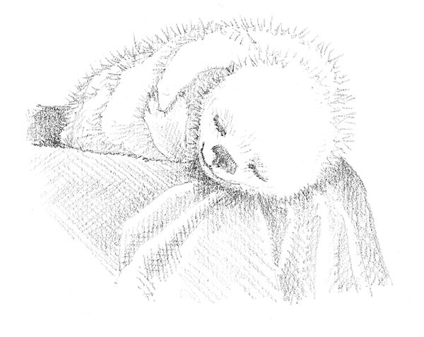 Уютный дом для Звёздочки - i_008.jpg