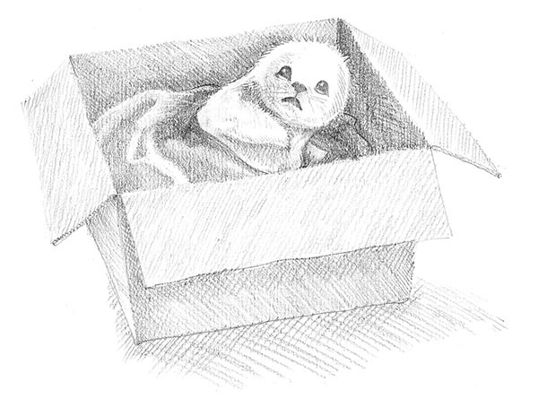 Уютный дом для Звёздочки - i_011.jpg