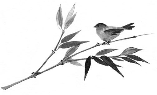 Я могу ошибаться. 38 жизнеопределяющих открытий топ-менеджера, ставшего лесным монахом - i_001.jpg