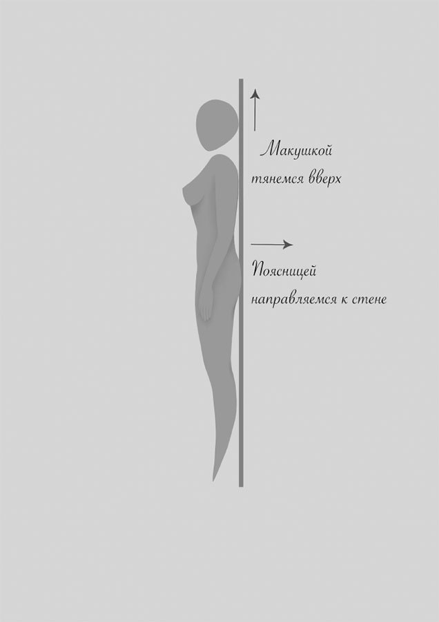 Анатомия женственности. Книга о том, как всегда оставаться сексуальной и желанной - i_004.jpg