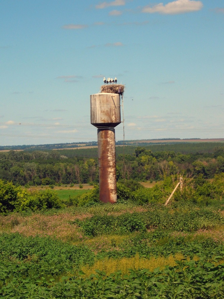 Дух подростка - _4.jpg