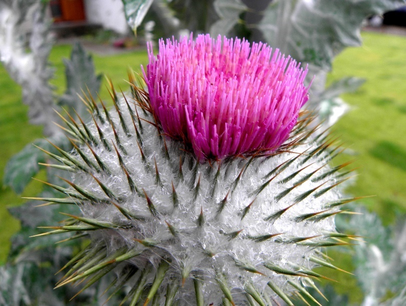 Дух подростка - _5.jpg