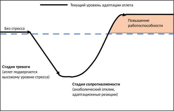 Физическая подготовка военнослужащих и сотрудников силовых структур - image2_5c0134c6f35e1d0564addd37_jpg.jpeg