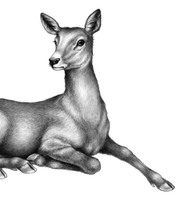 Секрет сфинкса - i_009.jpg