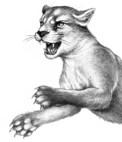 Секрет сфинкса - i_010.jpg