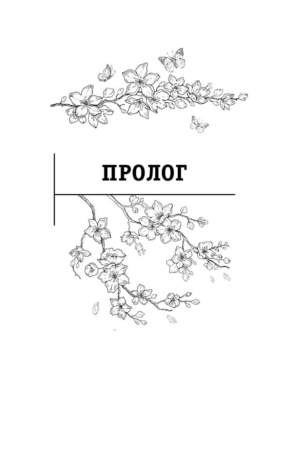 Шанс на счастье. Книга-тренинг для неидеальных родителей неидеальных детей - i_001.jpg