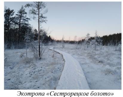 Туристические маршруты пригородов Санкт-Петербурга и Ленинградской области - _10.jpg