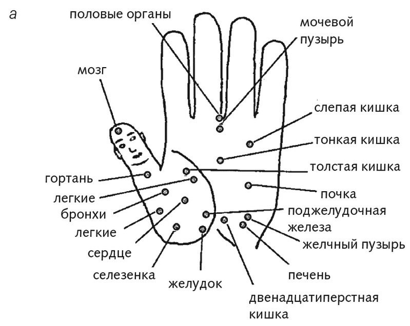 Шиацу и Су-джок: целительный массаж активных точек. Подробный самоучитель - i_011.jpg