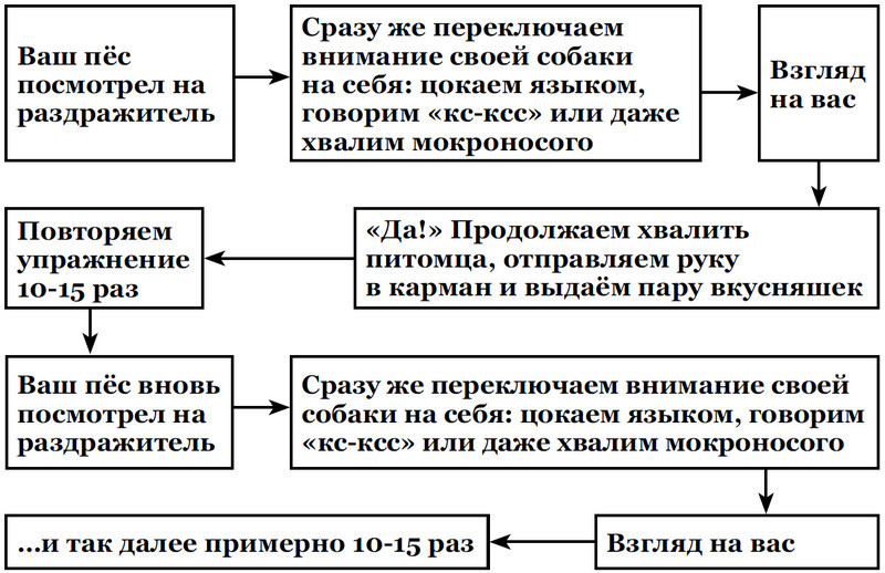 Собакология: псё под контролем - i_006.jpg