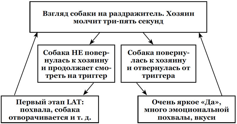 Собакология: псё под контролем - i_007.jpg