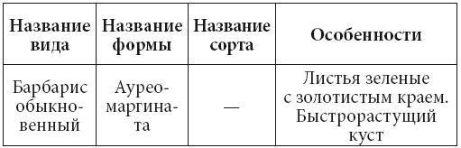 Декоративные деревья и кустарники на приусадебном участке - i_004.jpg