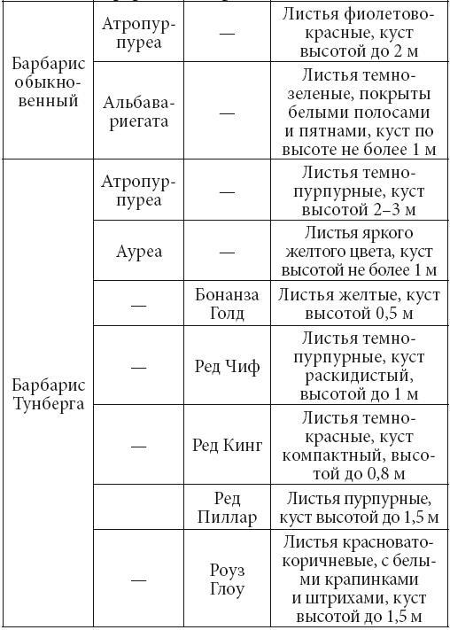 Декоративные деревья и кустарники на приусадебном участке - i_005.jpg