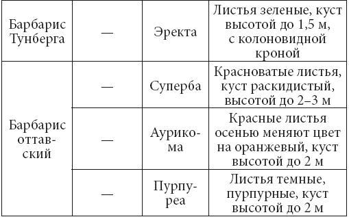 Декоративные деревья и кустарники на приусадебном участке - i_006.jpg