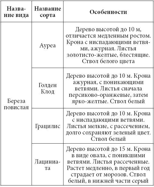 Декоративные деревья и кустарники на приусадебном участке - i_016.jpg