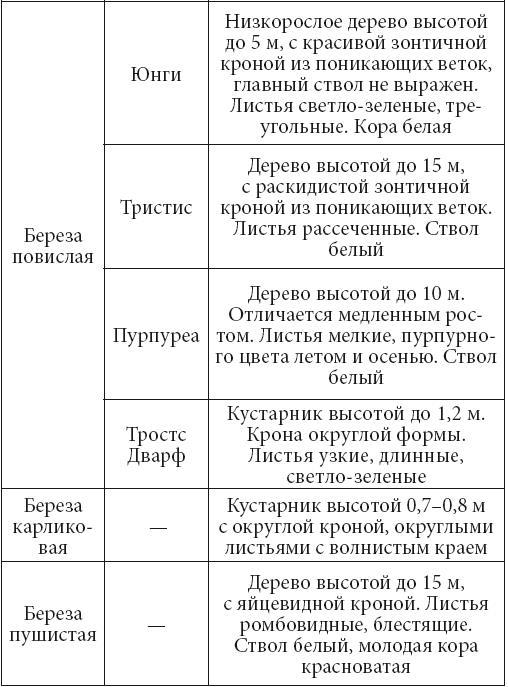 Декоративные деревья и кустарники на приусадебном участке - i_017.jpg