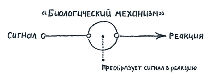 Просто о мозге. Как знания о мозге помогают получить больше - i_002.jpg