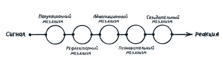 Просто о мозге. Как знания о мозге помогают получить больше - i_004.jpg