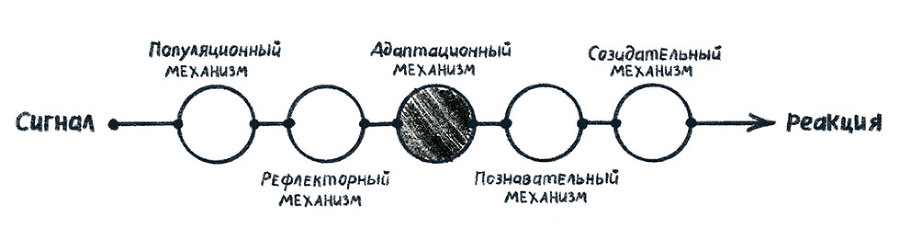 Просто о мозге. Как знания о мозге помогают получить больше - i_005.jpg