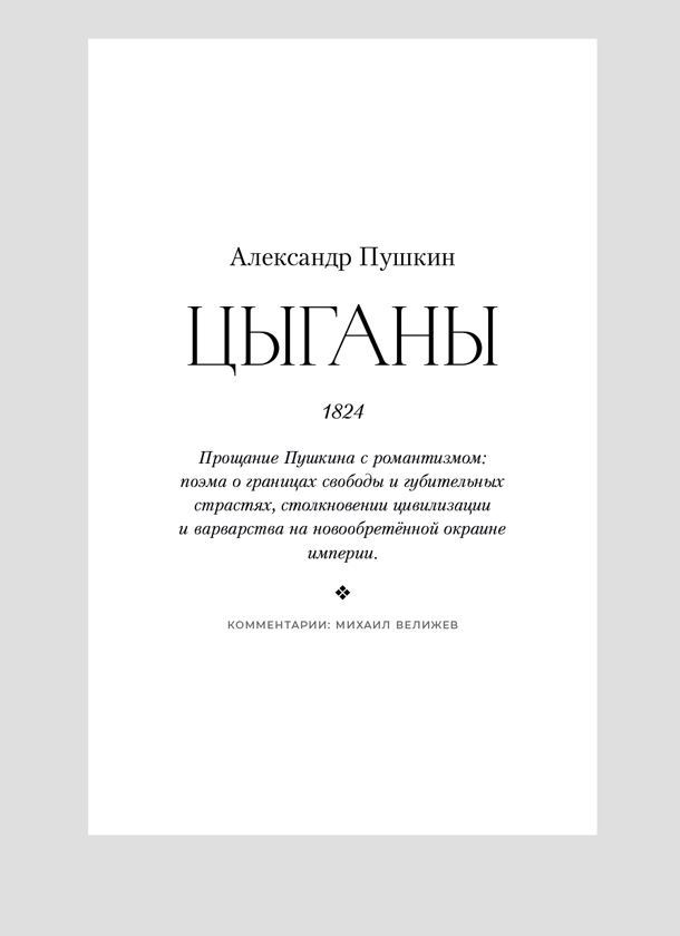 Полка. О главных книгах русской литературы - i_041.jpg