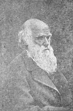 Лютер Бербанк. Садовод-чудотворец - _7.jpg