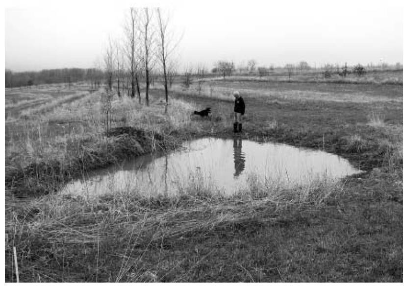 Восстановительное сельское хозяйство. Реальная пермакультура для фермеров - _36.jpg