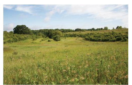 Восстановительное сельское хозяйство. Реальная пермакультура для фермеров - _61.jpg