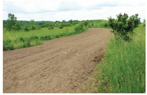 Восстановительное сельское хозяйство. Реальная пермакультура для фермеров - _62.jpg
