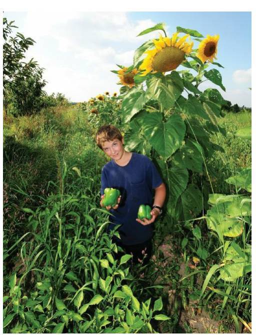 Восстановительное сельское хозяйство. Реальная пермакультура для фермеров - _63.jpg