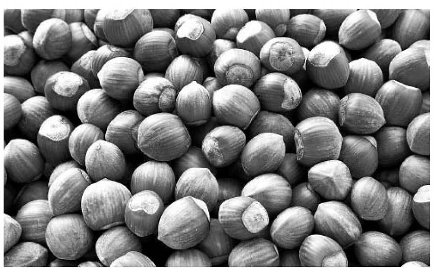 Восстановительное сельское хозяйство. Реальная пермакультура для фермеров - _64.jpg