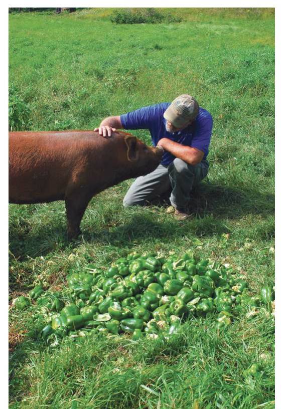 Восстановительное сельское хозяйство. Реальная пермакультура для фермеров - _58.jpg