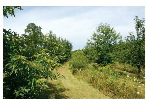 Восстановительное сельское хозяйство. Реальная пермакультура для фермеров - _59.jpg