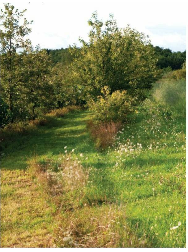 Восстановительное сельское хозяйство. Реальная пермакультура для фермеров - _60.jpg