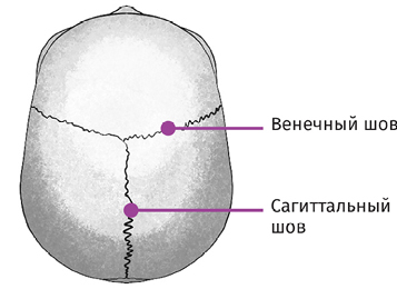 Красота своими руками. Практикум по гимнастике для лица - i_009.jpg