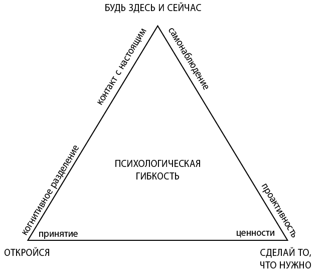 Полное наглядное пособие по терапии принятия и ответственности - i_002.png