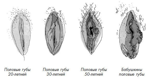 Без стеснения. Все о чудесном женском теле - i_008.jpg