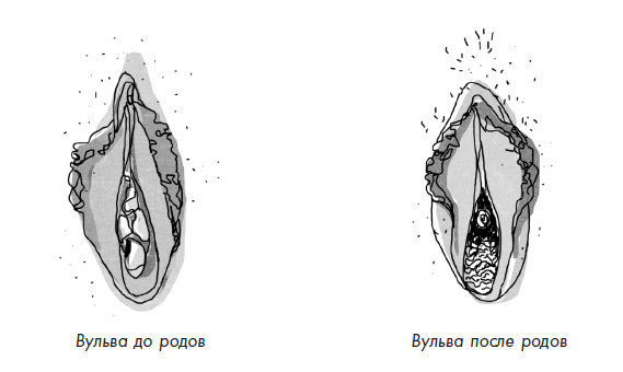 Без стеснения. Все о чудесном женском теле - i_011.jpg