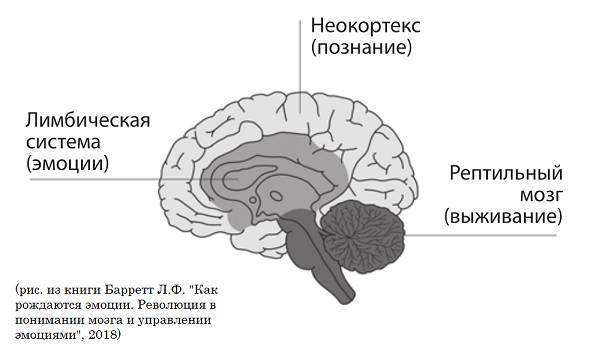 Мифы об инстинктах человека - _0.jpg