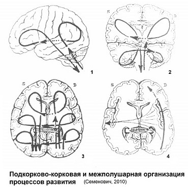 Мифы об инстинктах человека - _1.jpg