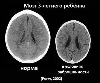 Мифы об инстинктах человека - _2.jpg