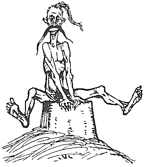 Полное собрание сочинений и писем в семнадцати томах. Том I. Вечера на хуторе близ Диканьки. Том II. Миргород - i_084.png