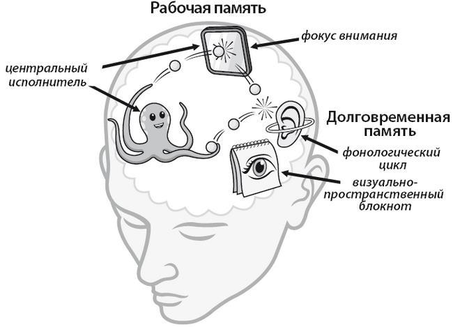 Научить невозможному. Как помочь ученикам освоить любой предмет и не бояться экзаменов - i_013.jpg