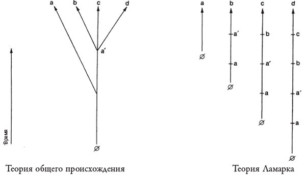 Дарвиновская революция - i_008.jpg