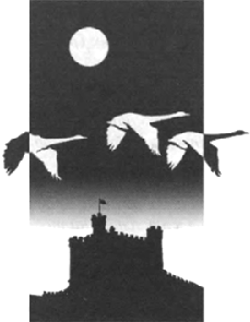 Людвиг II: Калейдоскоп отраженного света - i_007.png