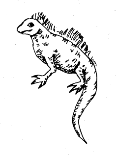 Колекція гадів - i_007.png