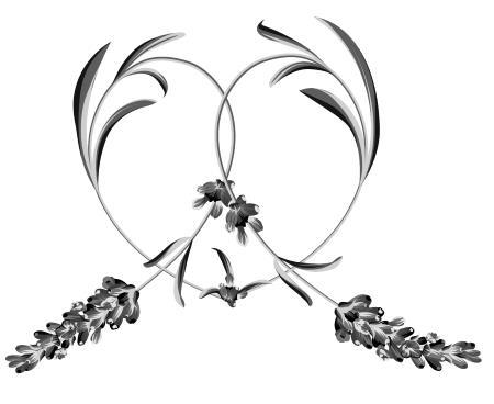 Жадорка. Роман о любви - i_018.jpg